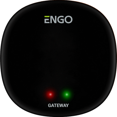 Bramka internetowa ZigBee ENGO EGATEZB