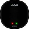 Bramka internetowa ZigBee ENGO EGATEZB